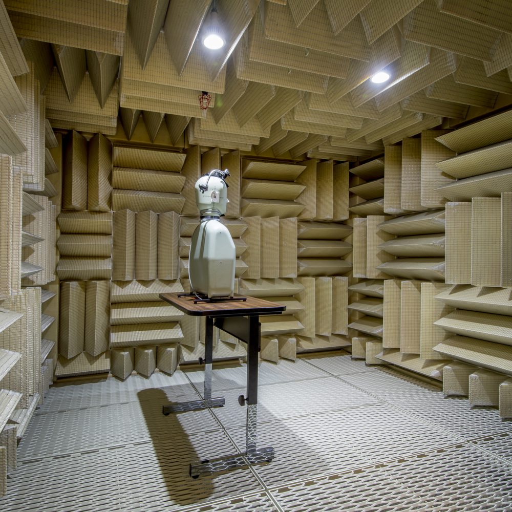 An anechoic laboratory with a test dummy.